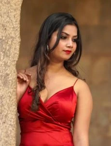 call girl service in Vejalpur